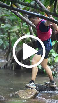 BIB:  <button type="button" onclick="openModal(27824590)" class="btn btn-primary btn-sm float-right" data-toggle="modal" data-target=".modal-high-quality">
                <i class="fa fa-download"></i> Download
                </button>